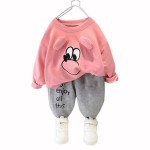 Baby hoodie set