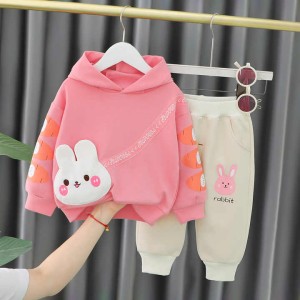 Baby hoodie set