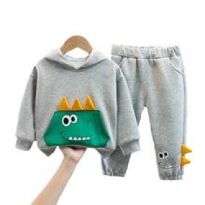 Baby hoodie set